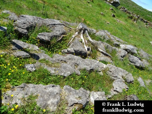 Cavan Burren